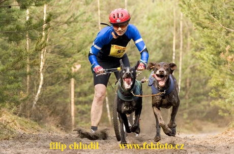 Polsko 2005 - 128.jpg